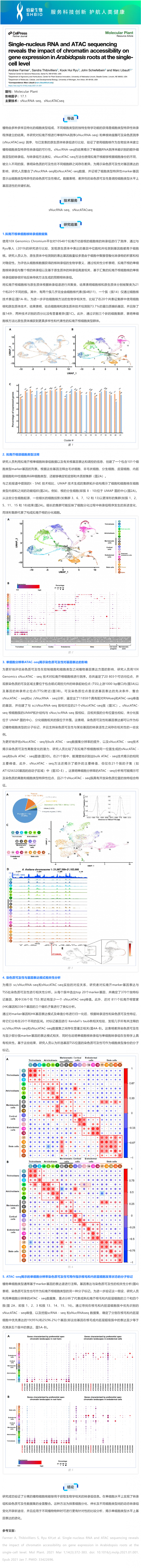 文獻解讀 _ 單核 RNA 和 ATAC 測序揭示了染色質可及性對擬南芥根部單細胞水平基因表達的影響